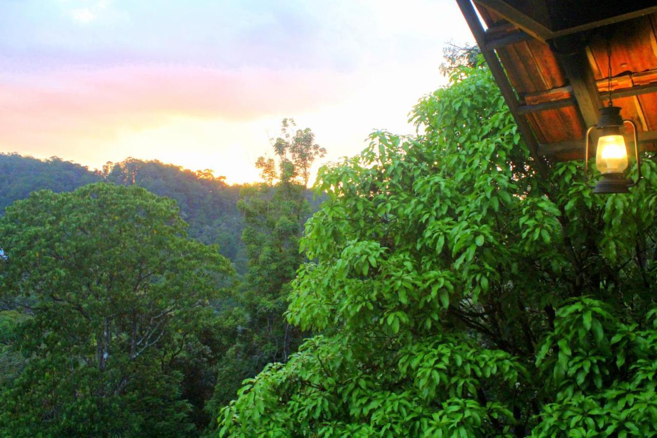 The Wild Trails Clarks Exotica , Munnar Hotel Exterior foto